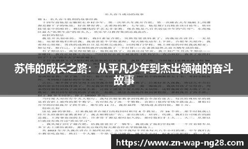 南宫NG28