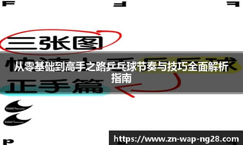 从零基础到高手之路乒乓球节奏与技巧全面解析指南